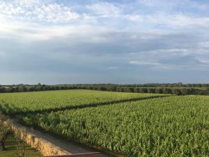 Photo de la galerie de l'établissement Masseria San Polo, à Squinzano 41 autres photos