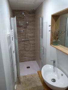 a bathroom with a shower and a sink and a shower at Le Domaine Des Platanes in Bourg-Charente