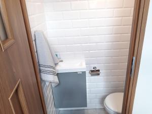 a bathroom with a sink and a toilet at Dom Wakacyjny Jastrzębia Góra in Jastrzębia Góra