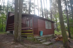 a small red cabin in the woods with trees at Ośrodek Wypoczynkowy "Na Cyplu" Spychowo in Spychowo