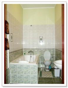 a bathroom with a bath tub and a toilet at Apollon in Mukacheve