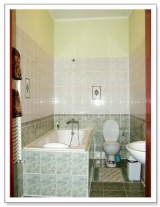 a bathroom with a bath tub and a toilet at Apollon in Mukacheve +6 photos