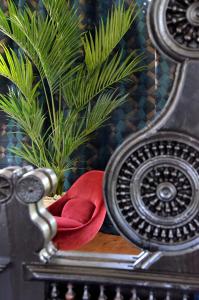 Fotografie z fotogalerie ubytování Hotel De Diane v destinaci Sables-dʼOr-les-Pins