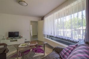 a living room with a couch and a large window at Waldhotel Rennsteighöhe in Frauenwald