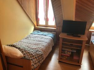 een kleine slaapkamer met een bed en een televisie bij Résidence Les Cascades in Le Mont-Dore