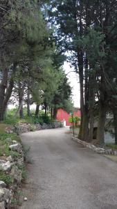 貝內文托的住宿－B&B Casa di Laura，一条有树的路