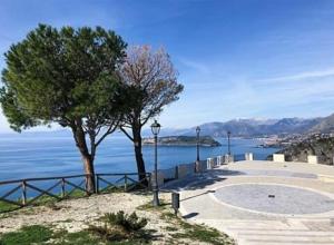 a tree and a view of the water at La Maison Fleurie in San Nicola Arcella