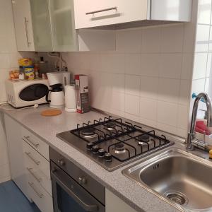 A kitchen or kitchenette at Fabulous Apartaments