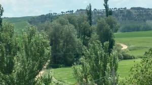 ein Feld mit Bäumen und einem Feldweg in der Unterkunft Hotel Rural San Pelayo in San Pelayo