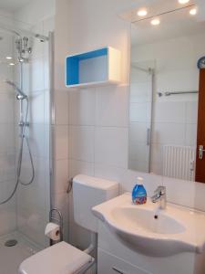 ブラウンラーゲにあるFerienwohnung Schimmer Wurmbergblickのバスルーム(トイレ、洗面台、シャワー付)