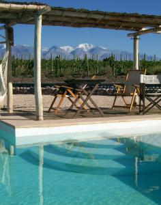 a group of chairs sitting next to a swimming pool at Tupungato Divino in Tupungato