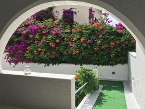 an archway with a bunch of flowers on a wall at Sailor's Nautical Concept in Spetses