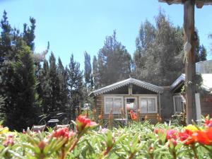 une cabane en rondins avec des fleurs devant elle dans l'établissement SilverCord B&B, à Potrerillos