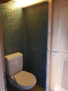 a bathroom with a toilet and a green tiled wall at Rütland in Fideris Dorf