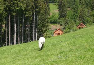 Galeriebild der Unterkunft Sternen-Chalet in Grassendorf