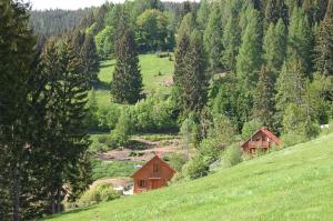 Galeriebild der Unterkunft Sternen-Chalet in Grassendorf
