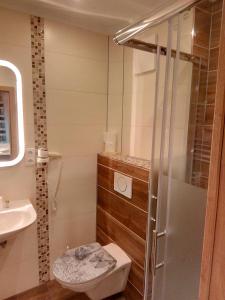 ein Bad mit einer Dusche, einem WC und einem Waschbecken in der Unterkunft Pension Wachau in Klagenfurt am Wörthersee