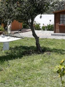 Jardín al aire libre en Casa Rural Cho Agustin