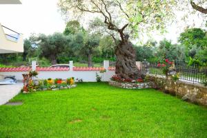 a garden with a tree and flowers in a yard at Tsafas Αpartments in Limenas