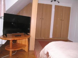Televízia a/alebo spoločenská miestnosť v ubytovaní Burg Eger