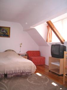 a bedroom with a bed and a couch and a tv at Burg Eger in Eger