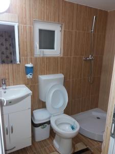 une salle de bain avec toilettes, lavabo et douche dans l'établissement Casa Alex, à Gîrda de Sus 61 autres photos