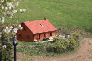 a wooden house with a red roof on a hill at Sternen-Chalet in Grassendorf