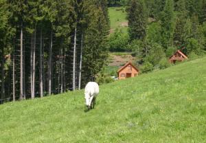 Galeriebild der Unterkunft Sternen-Chalet in Grassendorf