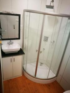 W łazience znajduje się prysznic i umywalka. w obiekcie Golden Crest DALLAKE w mieście Śrinagar
