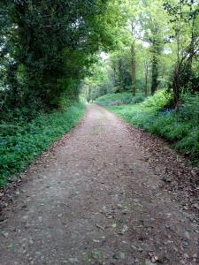 Un paisaje natural cerca of the bed and breakfast