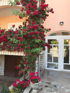 Zahrada ubytování House Marić