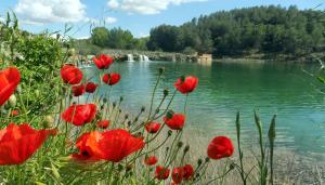 Paisaje cerca of this country house