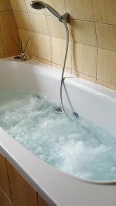 a bath tub filled with blue water with a shower at Apartament rodzinny z ogrodem - Bliżej Zdroju in Polanica-Zdrój