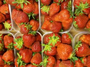 een stel aardbeien in plastic containers bij Agriturismo Corte Carolina in Verona