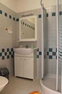 een badkamer met een wastafel en een douche bij Penzion Horka in Horka nad Moravou