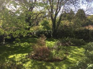 A garden outside The Burren Hostel - Sleepzone