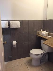 a bathroom with a toilet and a sink and towels at Motel 88 in Oneonta