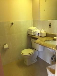 ein Bad mit einem WC und einem Waschbecken in der Unterkunft Motel 88 in Oneonta