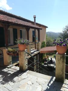 a house with two pots of flowers on pillars at Agriturismo dei Legi in San Pietro Vara