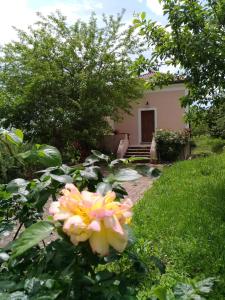 a pink and yellow flower in front of a house at L'Antico Gelso in Viggiano