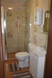 a bathroom with a shower and a toilet and a sink at Domki "Bociania Ostoja" in Mikołajki