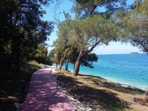 a path next to the ocean with trees at Apartment The old house in Vrsar