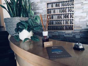 a table with a book and a vase with plants at Hotel Corfù in Pineto