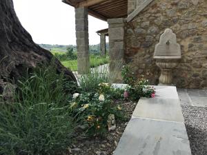 Zahrada ubytování Villa Podere Del Grasso