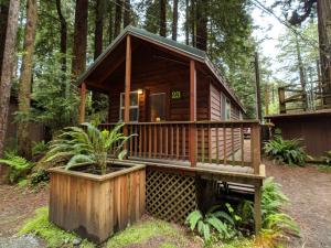 Gallery image of Emerald Forest Cabins in Trinidad