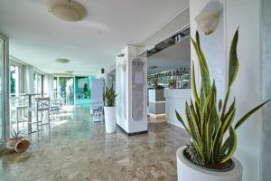 a lobby with a bar and a potted plant at Hotel Sanremo in Caorle