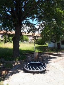 Gallery image of Guest Rooms Richi in Dolno Dryanovo