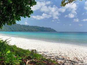 a white beach with trees and the ocean at The Barefoot At Havelock in Havelock Island
