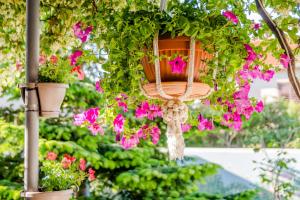 Zahrada ubytování Apartments Villa Camellia - Adults Only
