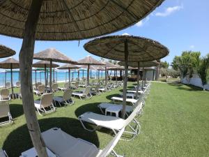 Gallery image of Kopsis Beach Hotel in Pefkochori